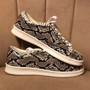Women’s Rampage Snake Print Sneaker